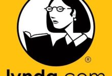 Lynda-Ücretsiz-Hesaplar-Premium-2024-Hesap-Kullanıcı Adı-Ve-Parola
