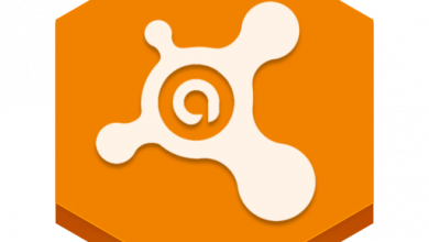 Bedava Avast Premium Key 2024